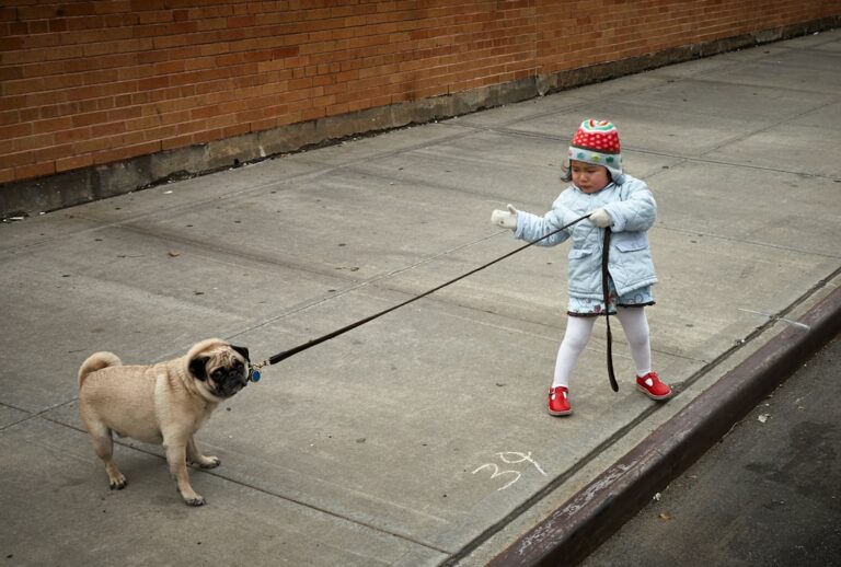 Mastering Leash Training: Overcoming Common Challenges for a Well-Behaved Pup